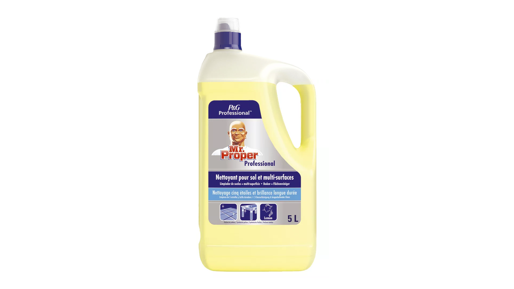 Mr Propre Citron Multi usage en 5L