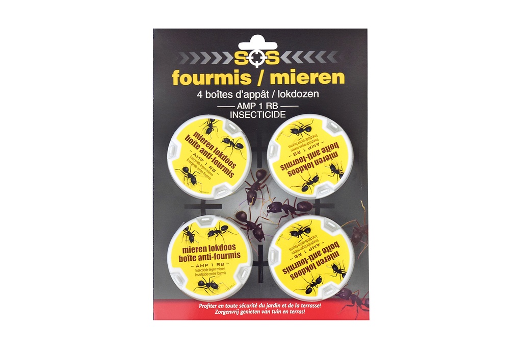 Fourmis  Boîtes 4x10g