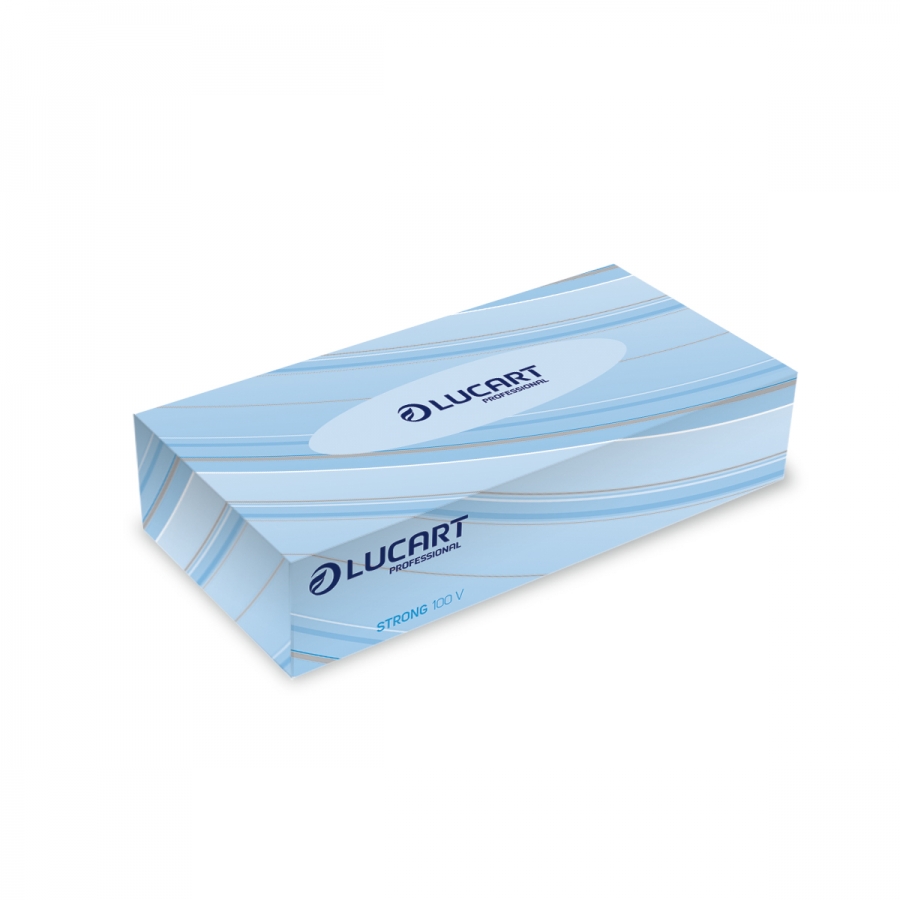 Mouchoir Facial tissue Lucart btes 100pièces-carton 40 btes